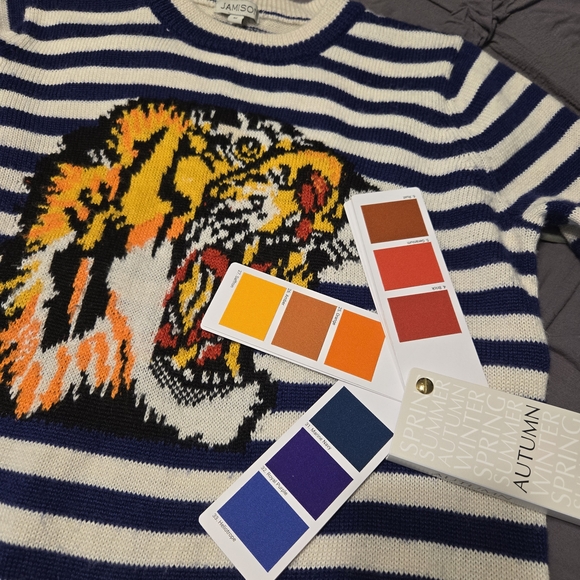 Striped Tiger Sweater - Blue and White - Picture 3 of 3